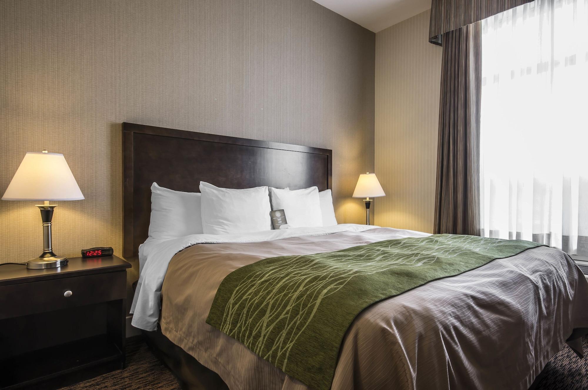 Comfort Inn & Suites Съри Екстериор снимка