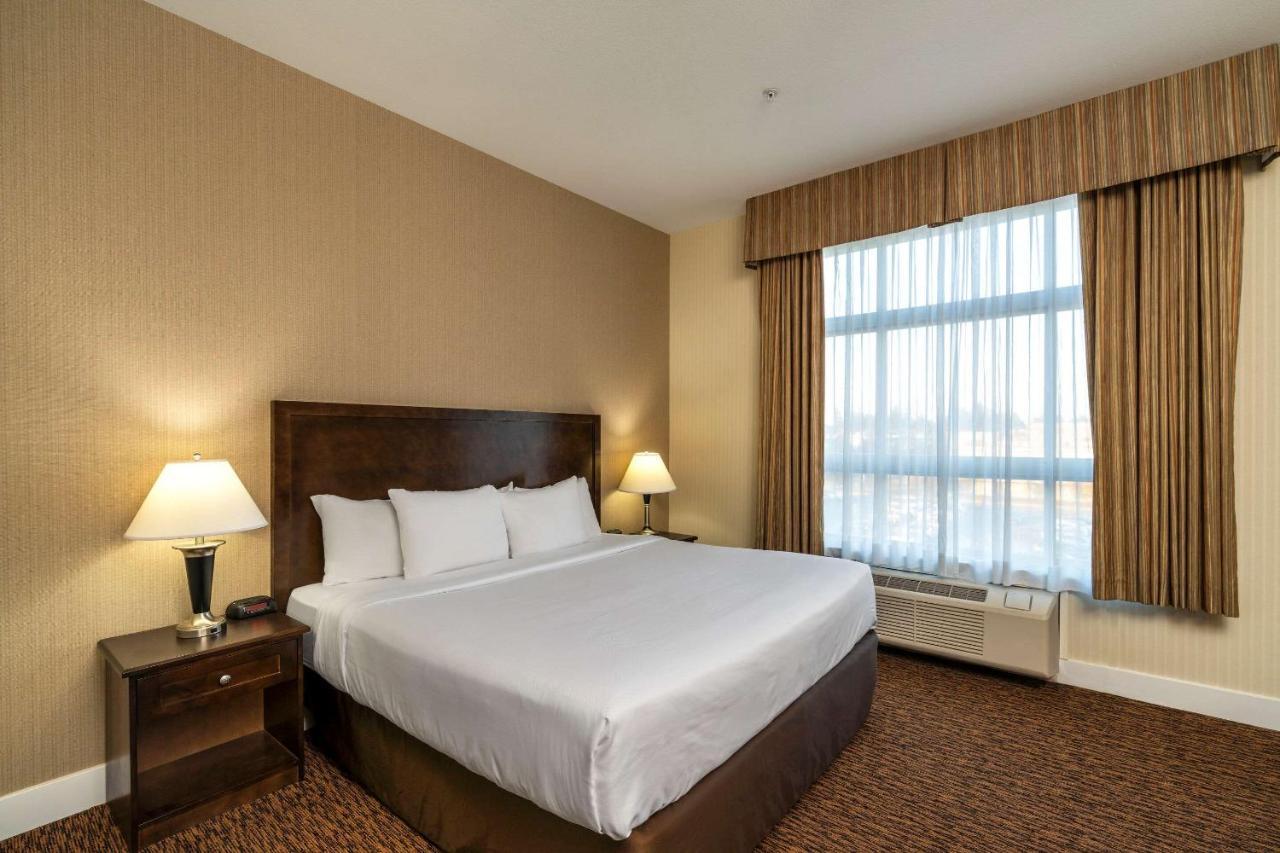 Comfort Inn & Suites Съри Екстериор снимка