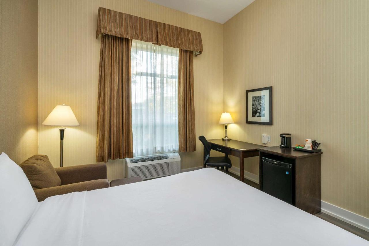Comfort Inn & Suites Съри Екстериор снимка