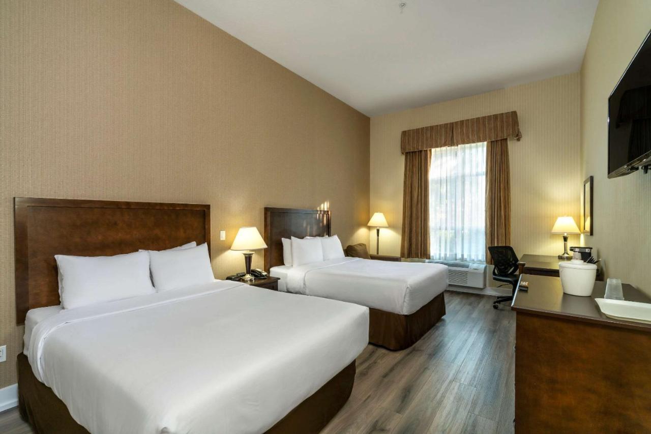 Comfort Inn & Suites Съри Екстериор снимка